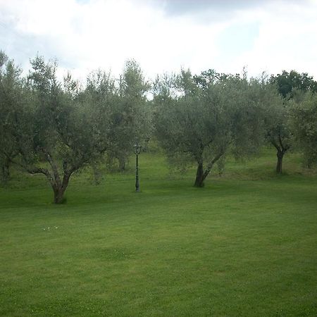 וטראלה Forum Cassii מראה חיצוני תמונה