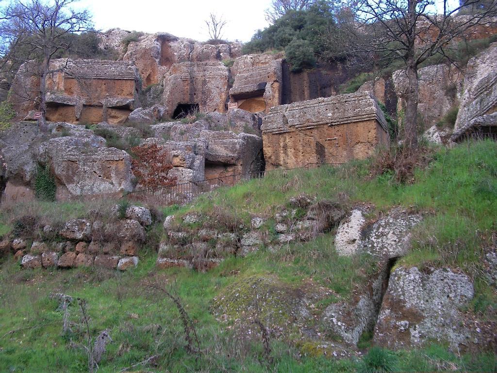 וטראלה Forum Cassii מראה חיצוני תמונה